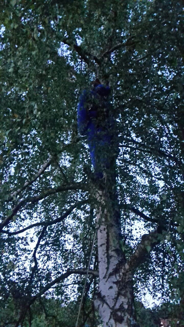 Gleitschirmflieger im Baum